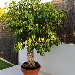 Casa Laura *