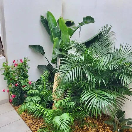 Casa Laura Orihuela