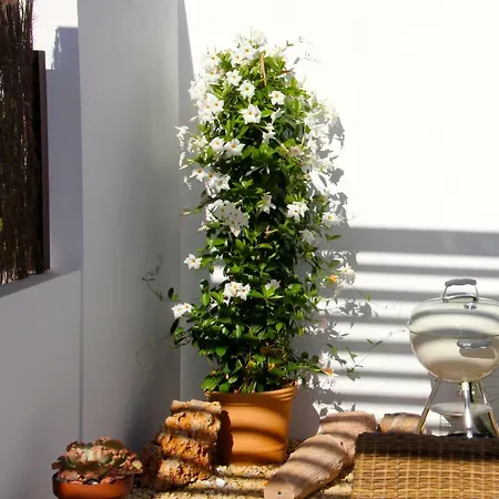 Villa Casa Laura